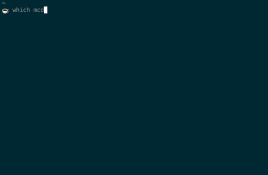 animated demonstration of backtick expansion in zsh